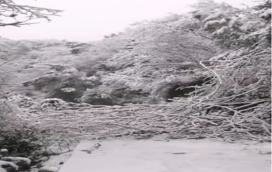 战暴雪、保供电！湖南发展鸟儿巢华体会平台-华体会(中国)一站式服务平台
应对极端天气紧急抢修失电故障