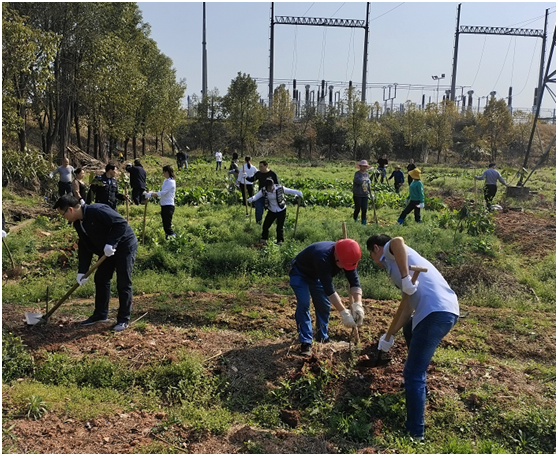 水电华体会平台-华体会(中国)一站式服务平台
开展义务植树活动
