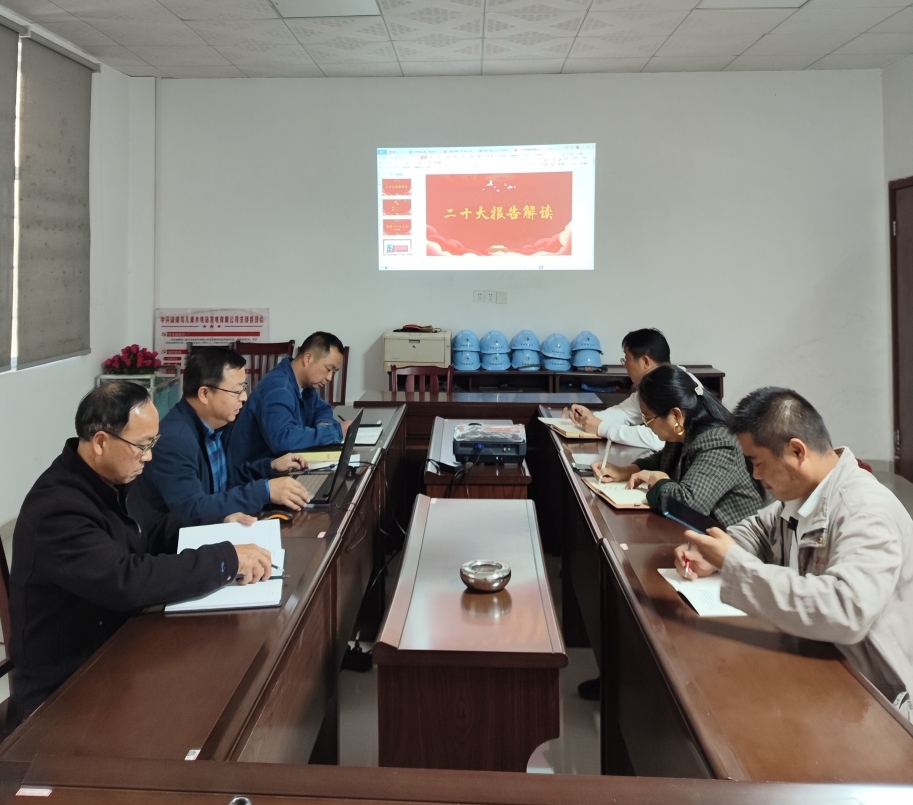 鸟儿巢华体会平台-华体会(中国)一站式服务平台
党支部开展“一课一片一实践”主题党日活动